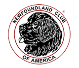 NCA logo