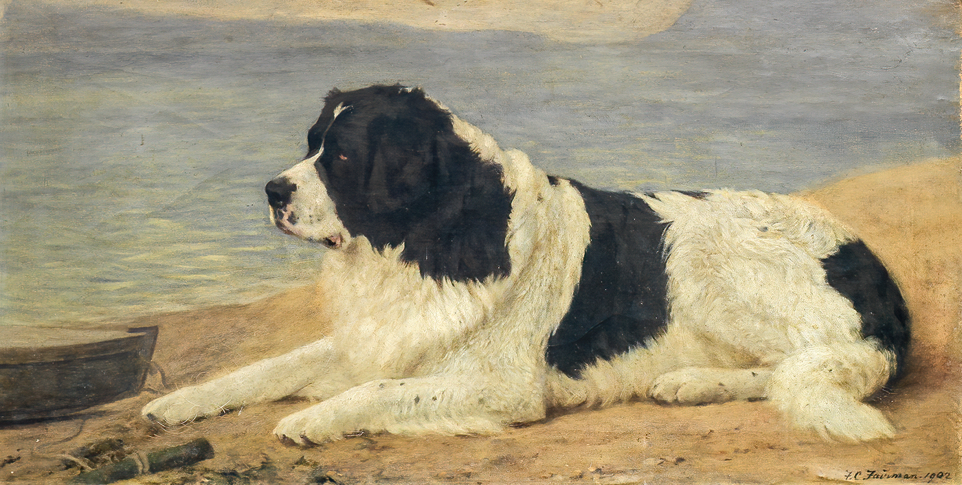 fairman newfoundland painting