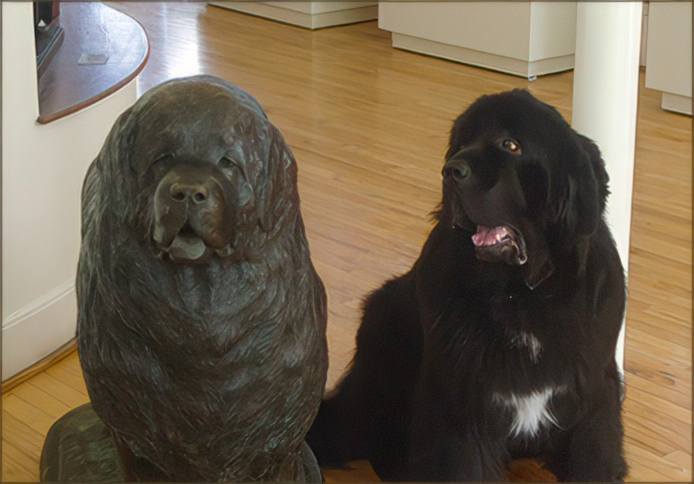 newf statue, with real newf