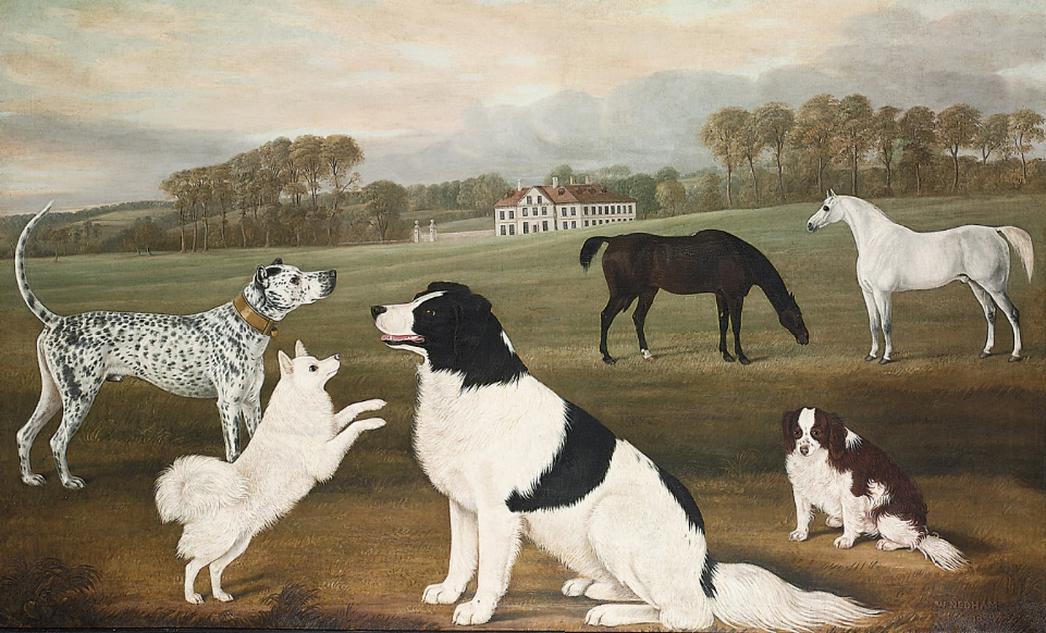 nedham newf et al