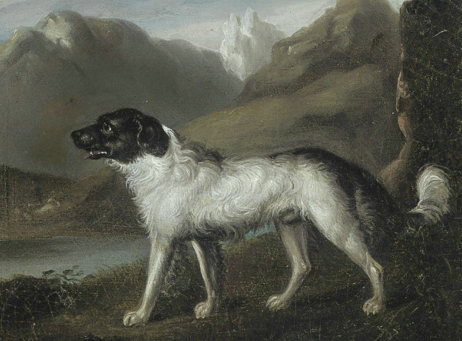 samuel raven newfoundland portrait
